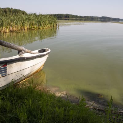 Enäjärvi