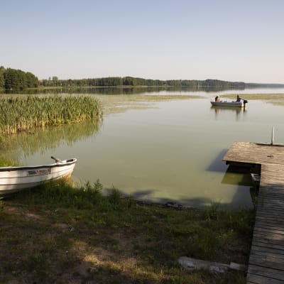 Enäjärvi