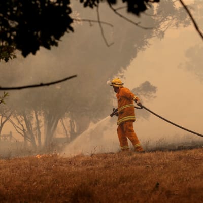 Brandman släcker markband i Australien.