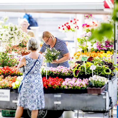blomsterhandel på salutorget i åbo