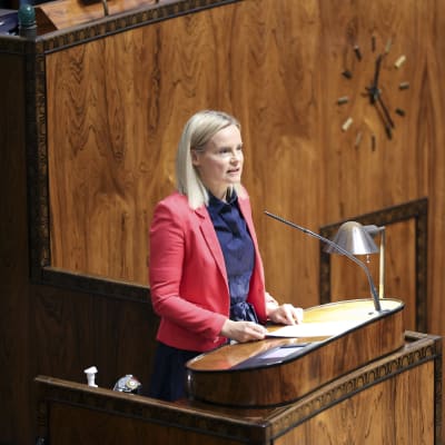 Riikka Purra står vid ett talarpodium i riksdagen.