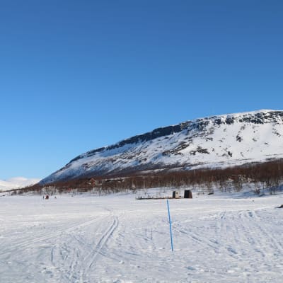 Hiihtoladut risteilevät Kilpisjärven jäällä ja taustalla näkyy Saanatunturi.