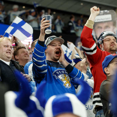 Publik på Lejonens match.