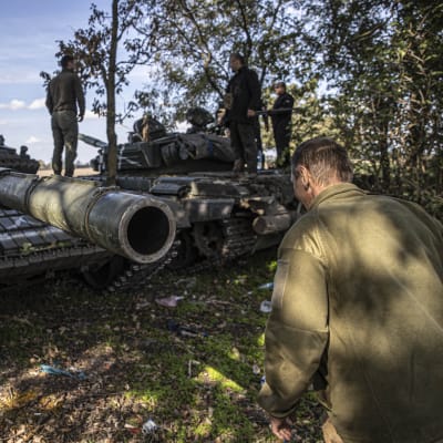 Två ukrainska stridsvagnar i en skogsdunge