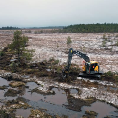 Kaivinkone ennallistaa suota eli purkaa vanhaa metsätietä ja tukkii suo-ojia Martimoaavalla Simossa.