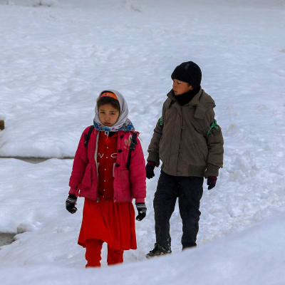 Afghanska barn leker i snön i Kabul