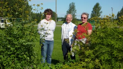 Monika Nyman, Nisse Kevon och Elisabeth Åberg vid örtagården på Gammelgården i Ingå.