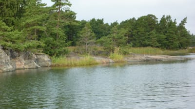 Gloskär är en del av Skärgårdsmiljöstiftelsens naturskyddsområde nordväst om Jussarö.