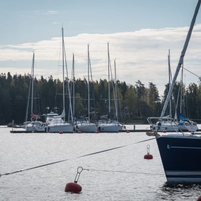 I bakgrunden skymtar en brygga med flera förtöjda båtar, i förgrunden bojar som guppar i vattnet och en förtöjd segelbåt