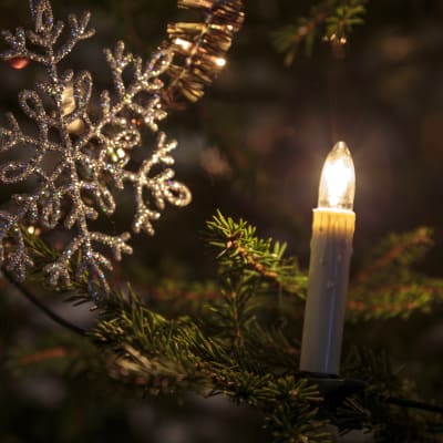 julgran med ett ljus  och en stjärna