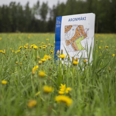 Aronmäki, Torppi tontti.