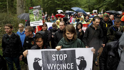 Lokala invånare deltog i en protest mot avverkningarna i Białowieżaskogen i augusti 2017.