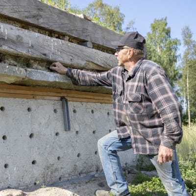 Martti Alakuijala on rakentanut törmäpääskyille pesimäpaikan omalle pihalleen Tornioon