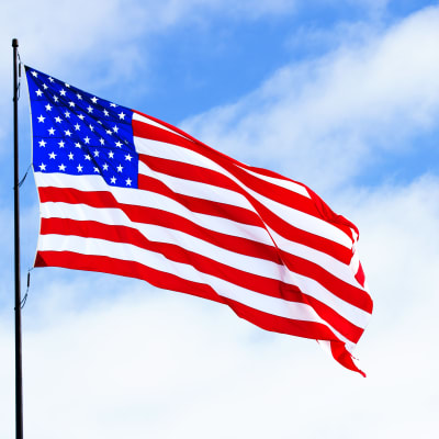 USA:s flagga