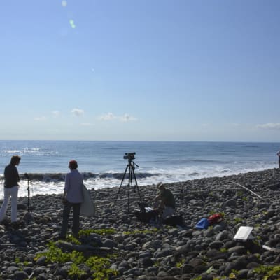 Representanter för media vid stranden Bois-Rouge på ön Réunion där en del av en Boeing 777-flygplansvinge hittats.