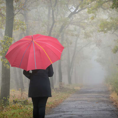 En kvinna vandrar längs en väg i dimman med ett rött paraply.