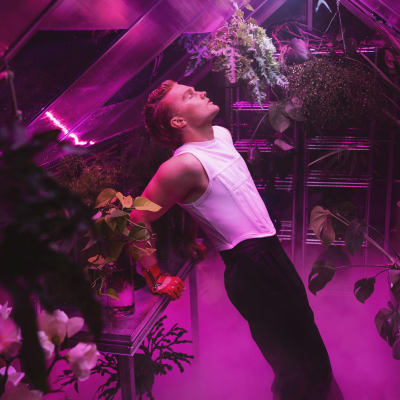 Benjamin Peltonen står i ett växthus som är upplyst med rosa lampor. På sig har han en vit topp och svarta byxor.