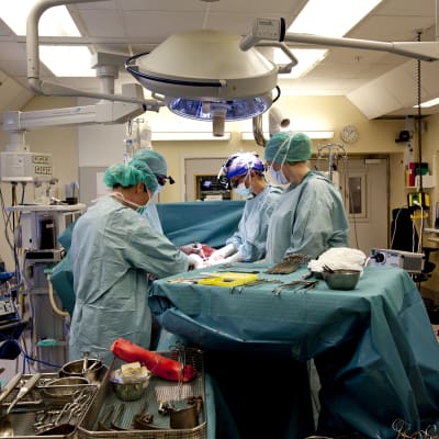 Ett läkarteam vid Sahlgrenska sjukhuset övar på att göra en livmordertransplantation.