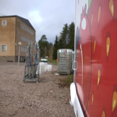 marjavaunu etualalla ja kärryjä taustalla
