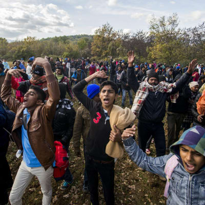 Asylsökande på den grekiska sidan om gränsen protesterar mot att de inte släpps in i Makedonien 3.12.2015