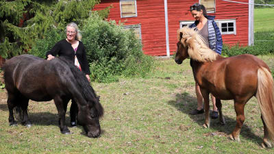 Två kvinnor står bredvid två hästar.