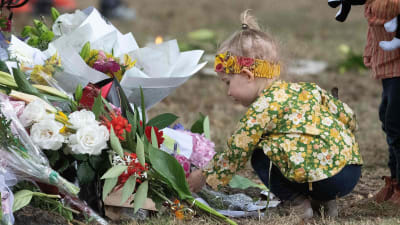 En liten flicka lägger blommor på en minnesplats i närheten av en av de drabbade moskéerna i Christchurch. Bilden tagen tisdagen 19.3.