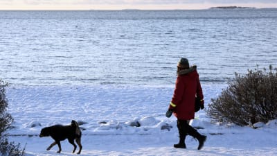 Ägare och hund på promenad i Brunnsparken.