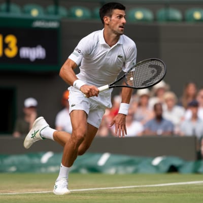 Novak Djokovic Wimbeldonin turnauksessa