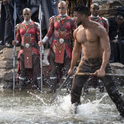 T'Challa (Chadwick Boseman) och Erik Killmonger (Michael B. Jordan) slåss mot varandra i ett vattenfall.