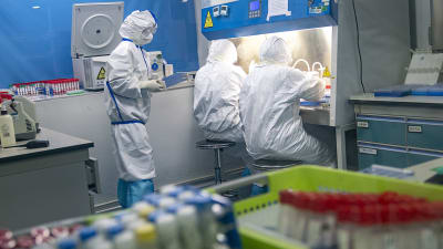 Personer iklädda skyddsutrustning hanterar coronaprov i ett laboratorium i Wuhan, Kina.
