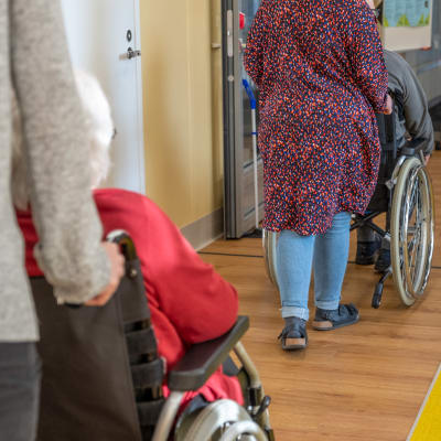 Toiminnanohjaajat työntävät vanhuksia pyörätuolissa Myyrmäen vanhustenkeskuksessa.