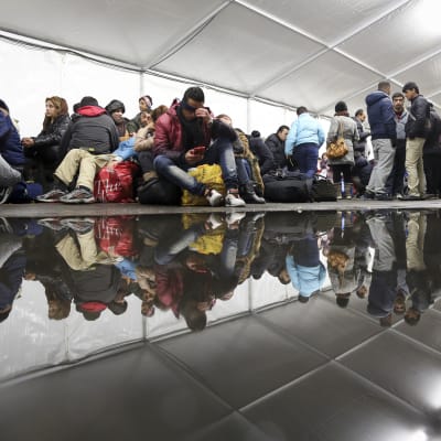Asylsökande väntar i ett tält i Berlin för att få registrera sig.