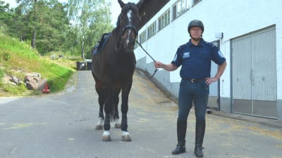 polishäst, ridande polis