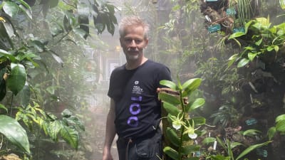 En man med grått hår står i ett växthus omgiven av olika slags tropiska växter. Intill sig har han en planka längsmed vilken en tropisk orkidé växer.