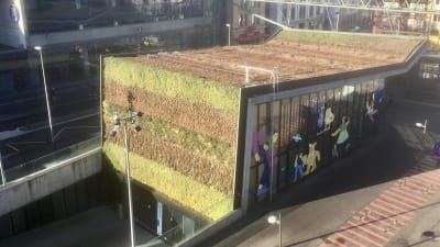 En byggnad i Lausanne täckt med gräs på taket och ena väggen.