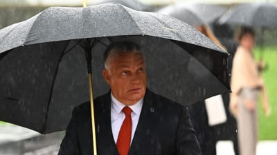 Viktor Orbán verkar nu ha fått en utmanare som han inte hade velat ha. Här måste han ta skydd av ett paraply under ett möte i Ljubljana den 6 oktober. 