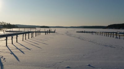 Solen lyser över snön och isen i en småbåtshamn, där skuggan från båtstolpar lyser långa.