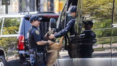 En polis står med en polishund vid en svart skåpbil. I skåpbilen sitter en till polis som talar med den andra polisen.