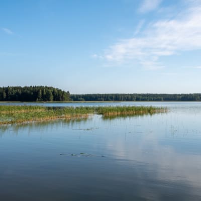 Vik i soligt väder. 