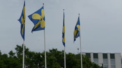 Flaggor med Kimitoöns vapen.