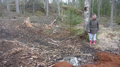 Tanja Westerholm står i en skog i Kristinestad som efter avverkning ser ut som ett bombnedslag enligt henne.