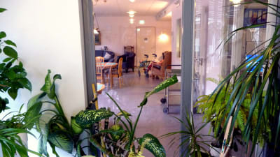 Bilden föreställer ett rum som ses genom en glasdörr. I förgrunden syns gröna växter.