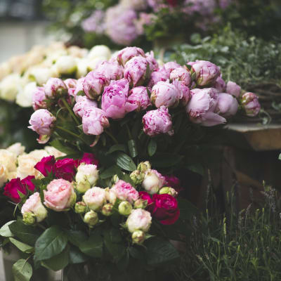 Pioneja ja ruusuja myytävänä kukkakaupassa.