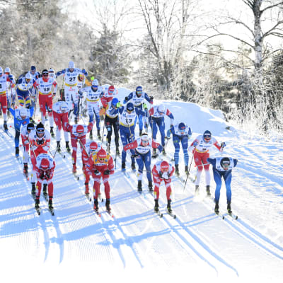 Världscupen i längdåkning i Falun.