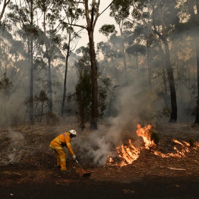 En brandman släcker markbrand vid en motorväg nära Ulladulla i Australien 5 januari 2020.