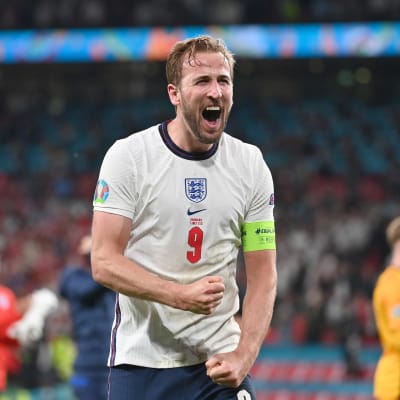 Harry Kane celebrates.