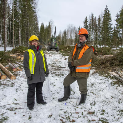 Saija Huuskonen och Markku Rantala står framför en skogsmaskin som håller på att avverka skog.