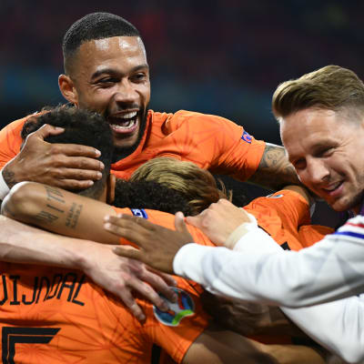 Holland jublar efter ett mål mot Österrike.