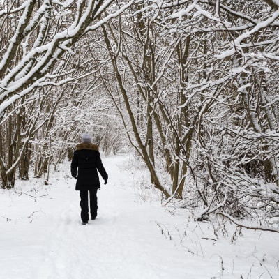 Person som promenerar i skogen vintertid. 