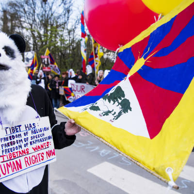 Under en demonstration håller en person i pandakostym en tibetansk flagga i handen.